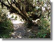 Inca_478.jpg(232 KB)