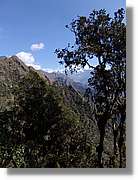 Inca_480.jpg(154 KB)