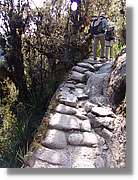 Inca_489.jpg(214 KB)