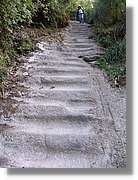 Inca_514.jpg(197 KB)