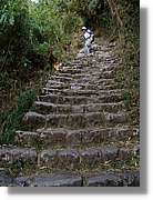 Inca_519.jpg(172 KB)