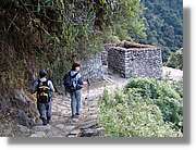 Inca_530.jpg(196 KB)