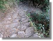 Inca_535.jpg(186 KB)