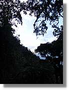 Inca_542.jpg(135 KB)