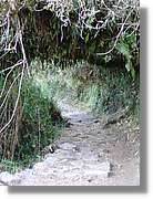 Inca_546.jpg(167 KB)