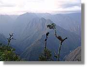 Inca_553.jpg(67,9 KB)