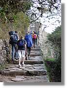 Inca_595.jpg(136 KB)