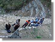 Inca_611.jpg(175 KB)