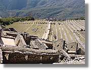 Inca_733.jpg(171 KB)