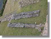 Inca_801.jpg(189 KB)