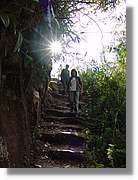 Inca_817.jpg(142 KB)