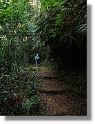 Inca_819.jpg(142 KB)