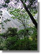 Inca_820.jpg(222 KB)