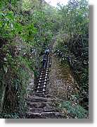 Inca_822.jpg(214 KB)