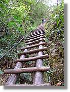 Inca_824.jpg(187 KB)