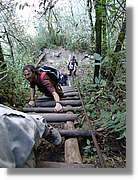 Inca_828.jpg(182 KB)