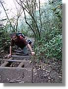 Inca_829.jpg(212 KB)