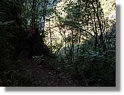 Inca_830.jpg(179 KB)