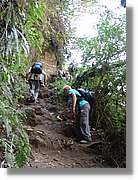 Inca_831.jpg(161 KB)