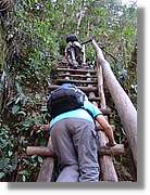 Inca_832.jpg(186 KB)