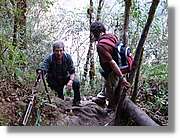 Inca_833.jpg(181 KB)