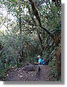 Inca_839.jpg(192 KB)