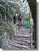 Inca_841.jpg(186 KB)