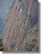 Inca_844.jpg(157 KB)