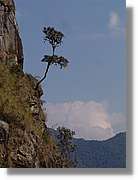 Inca_852.jpg(86,0 KB)