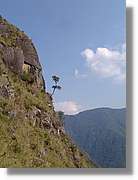 Inca_853.jpg(95,0 KB)