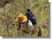 Inca_854.jpg(170 KB)