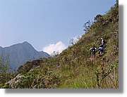 Inca_862.jpg(130 KB)