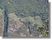 Inca_869.jpg(144 KB)