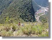 Inca_882.jpg(202 KB)