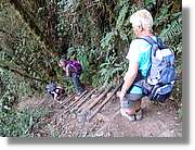 Inca_889.jpg(190 KB)