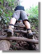 Inca_890.jpg(141 KB)