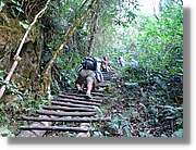 Inca_891.jpg(195 KB)