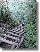 Inca_894.jpg(216 KB)