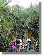 Inca_897.jpg(218 KB)