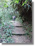 Inca_899.jpg(232 KB)