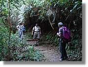 Inca_900.jpg(179 KB)