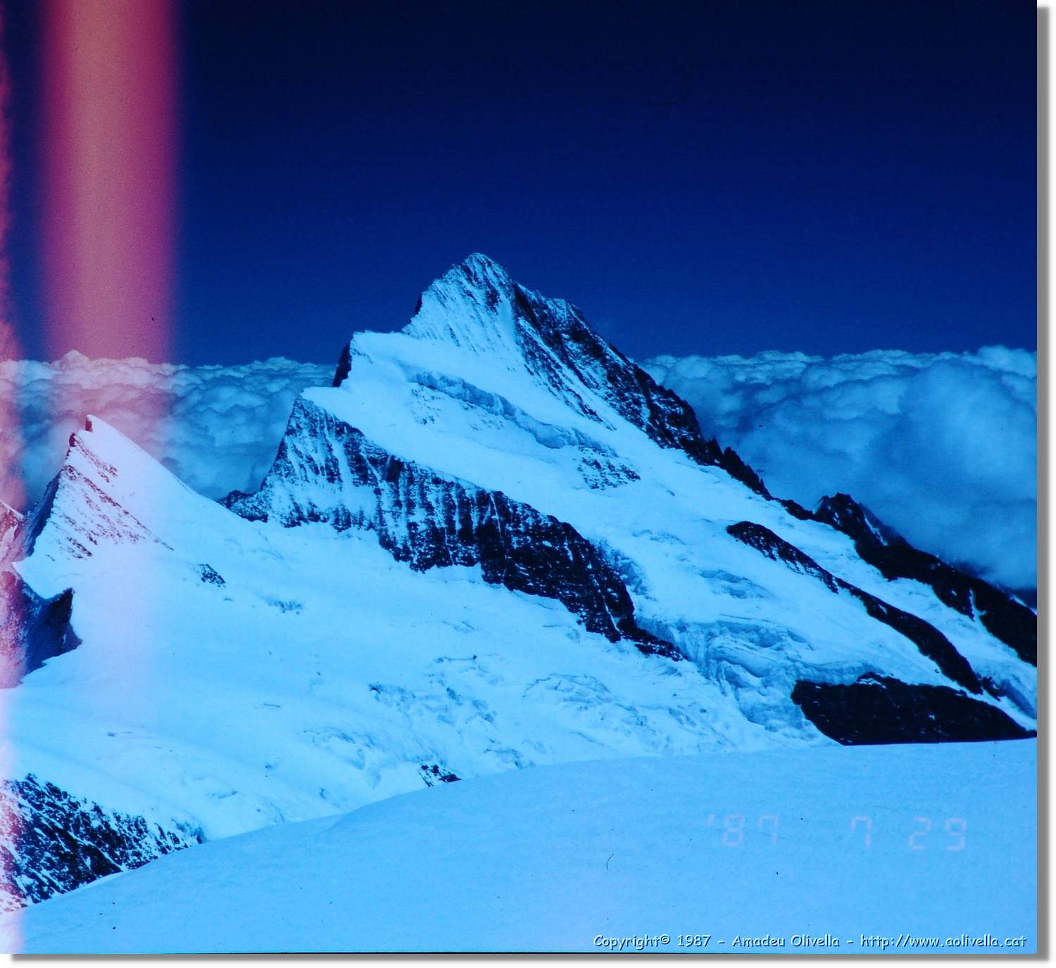 Jungfrau_064.jpg