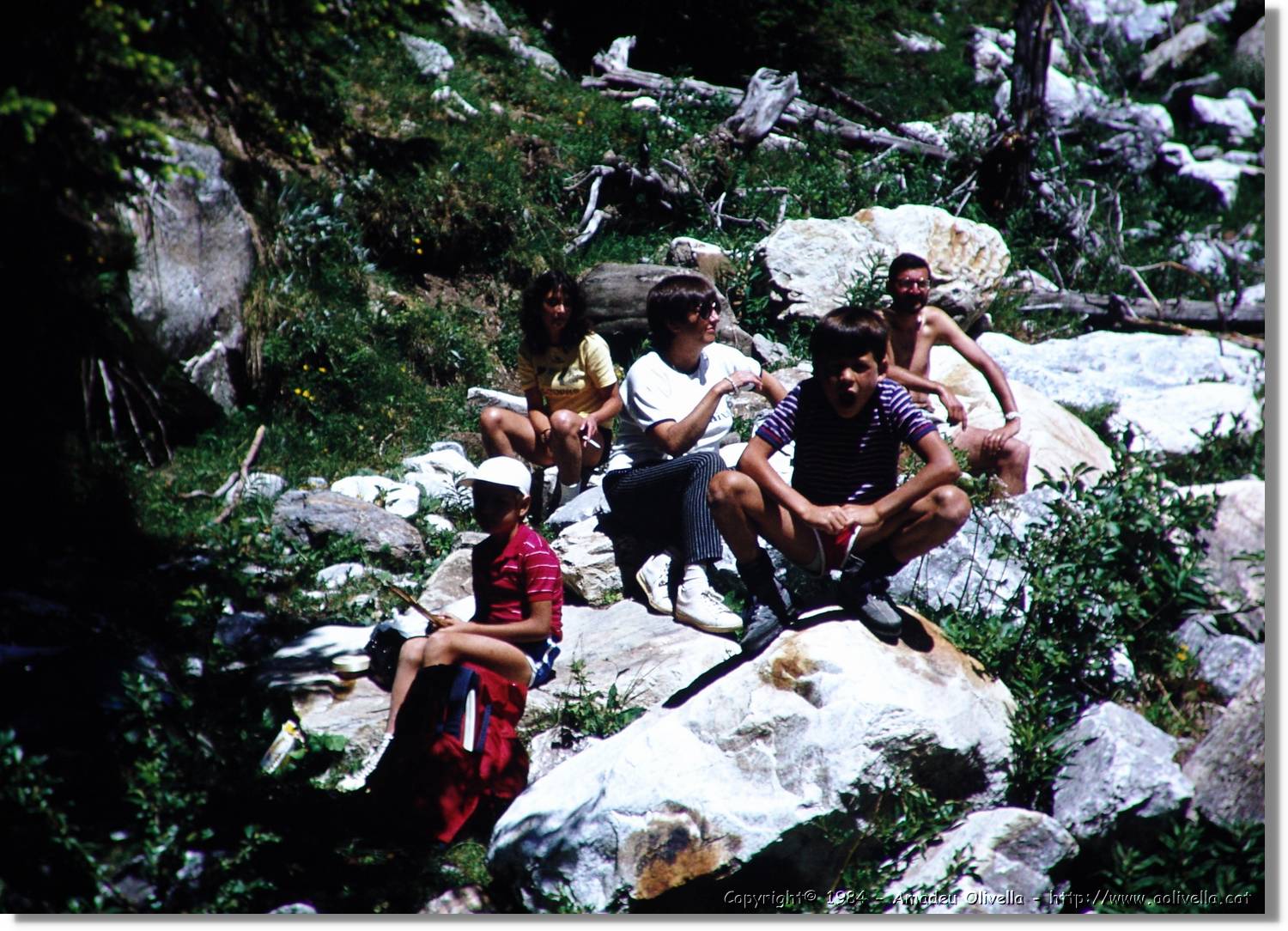 Alps_018.jpg
