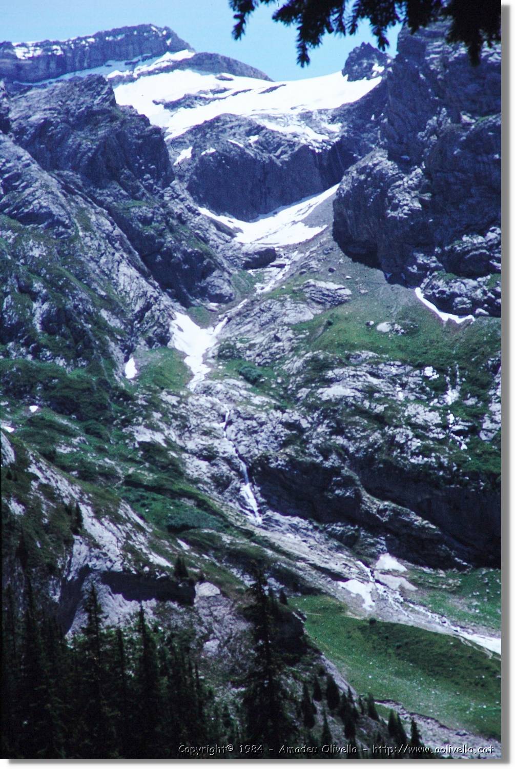 Alps_029.jpg