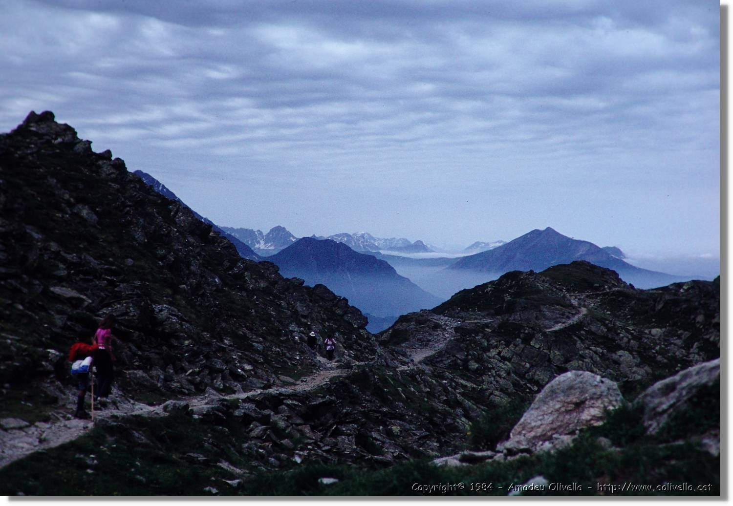 Alps_116.jpg
