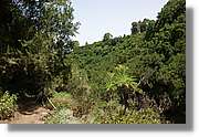 Cancajos_182.jpg