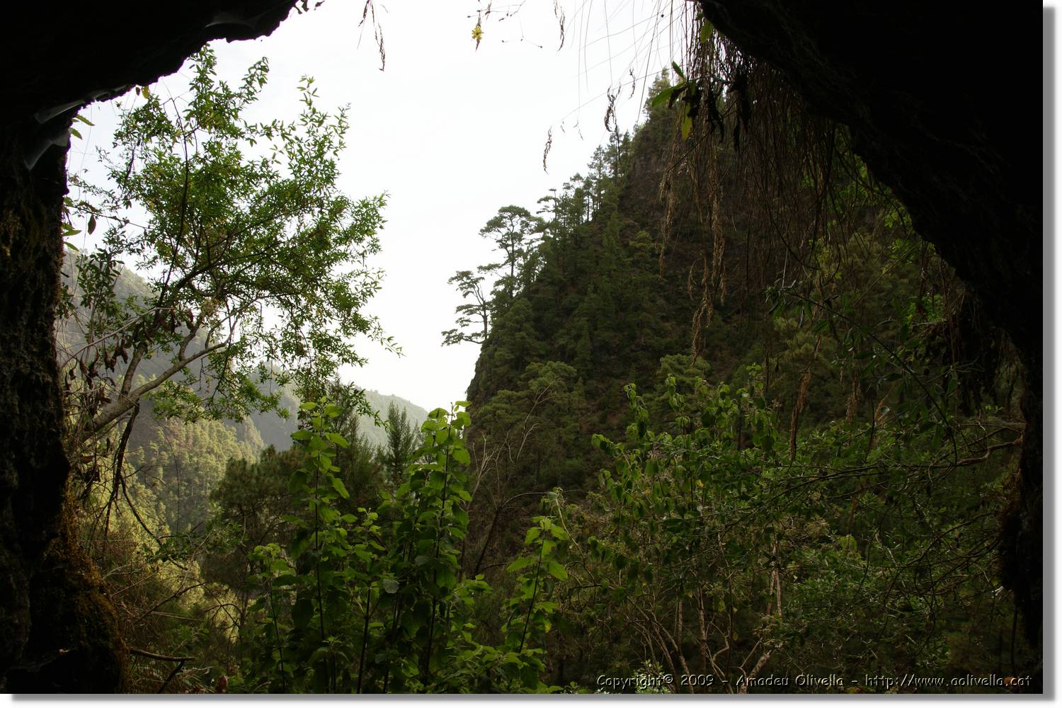 Nacientes_044.jpg