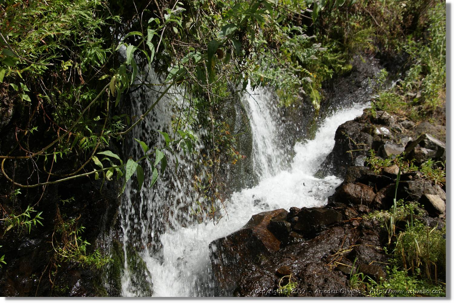 Nacientes_103.jpg