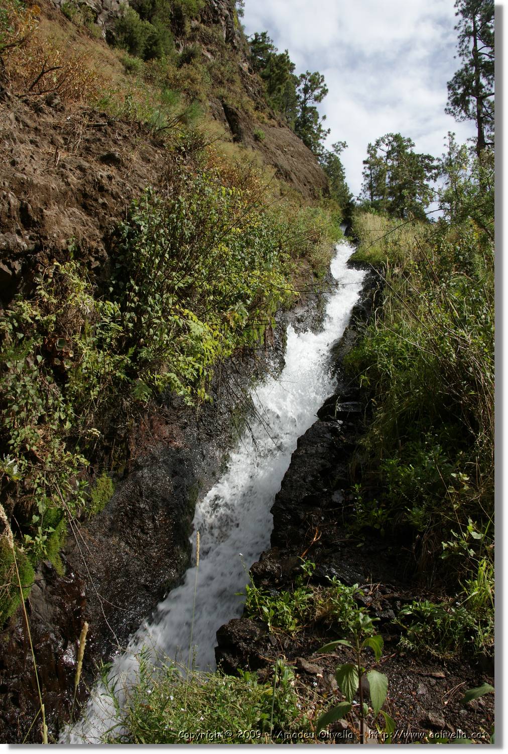 Nacientes_110.jpg