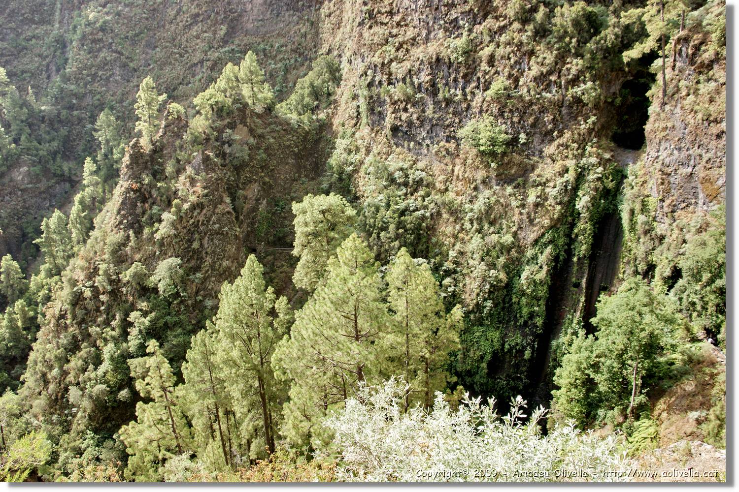 Nacientes_115.jpg